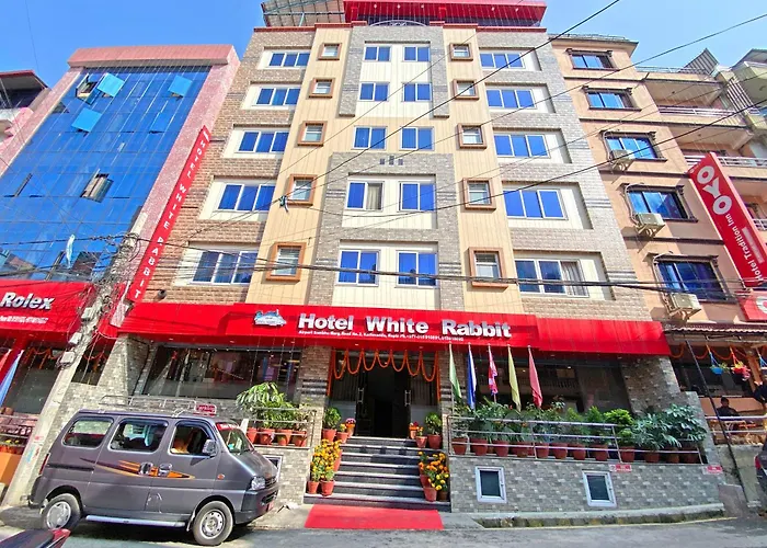 White Rabbit Hotel